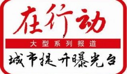 大渡口最新爆料信息查询,揭秘城市变迁背后的故事