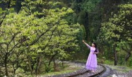 风景视频爆料大全最新,风景视频爆料大全精选集锦