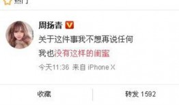 欣洋最新爆料新闻,最新爆料新闻背后的真相与内幕